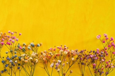 Renkli Hassas Çiçekler Parlak Sarı Arkaplan Anneleri Günü Çiçek Düzlüğü