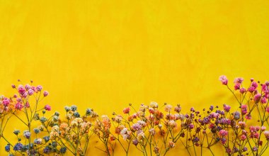 Colorful Delicate Flowers on Bright Yellow Background  Mothers Day Floral Flat Lay