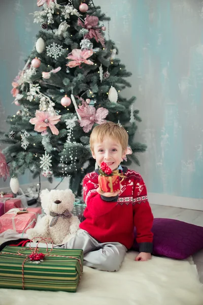 17Boy with Christmas gifts on the background of Christmas tree — Stock Photo, Image