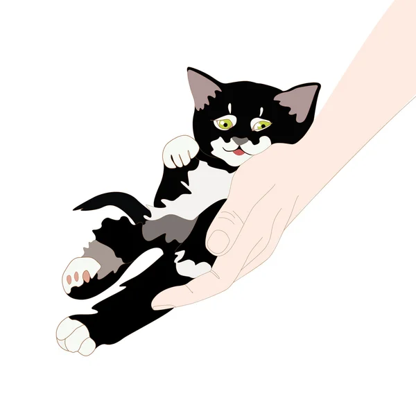 Gattino felice sulla mano umana — Vettoriale Stock