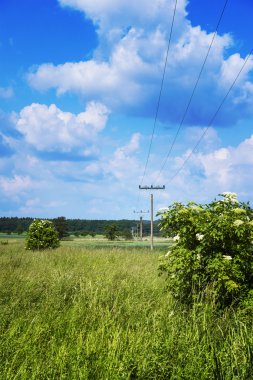 Elektrik direkleri çayırda