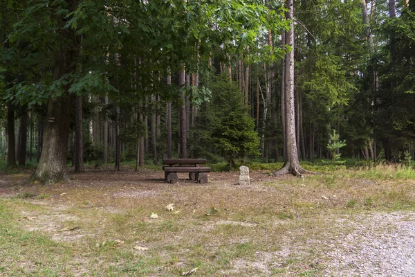 Tavolo e panca in legno nel bosco — Foto Stock