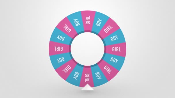 Wheel of fortune spins draws child 's gender - boy — стоковое видео