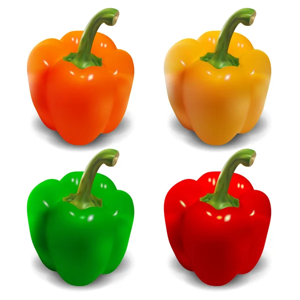 Paprika-Vektor - orange, gelb, grün, rot — Stockvektor