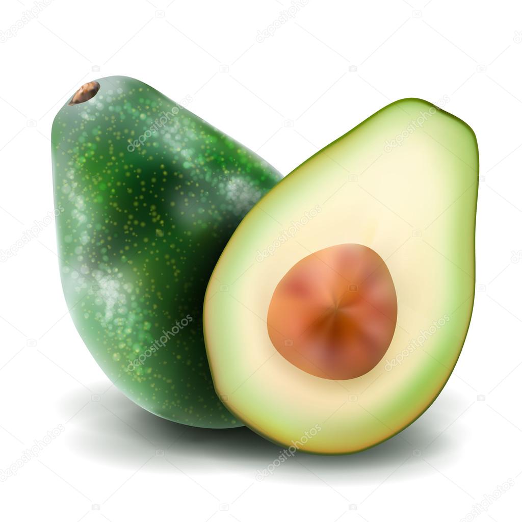 Avocado vector