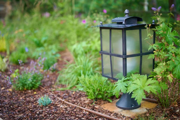 Solar Lantern is on the green lawn outdoor. High quality photo