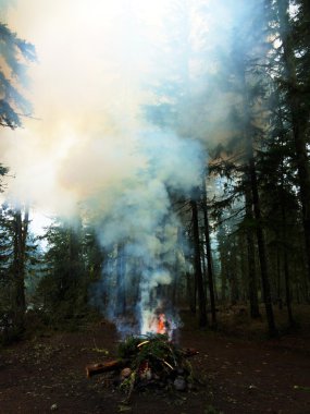 Ormanda kamp ateşi duman