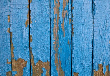 Kırık mavi yağlı boyalı eski ahşap yüzey.
