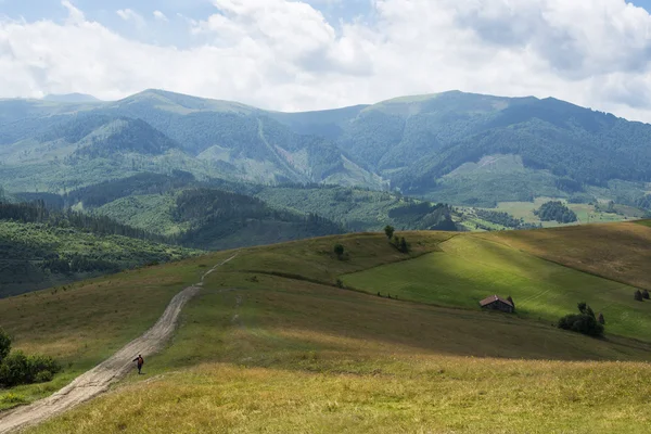 Landschap in de Oekraïense Karpaten — Stockfoto