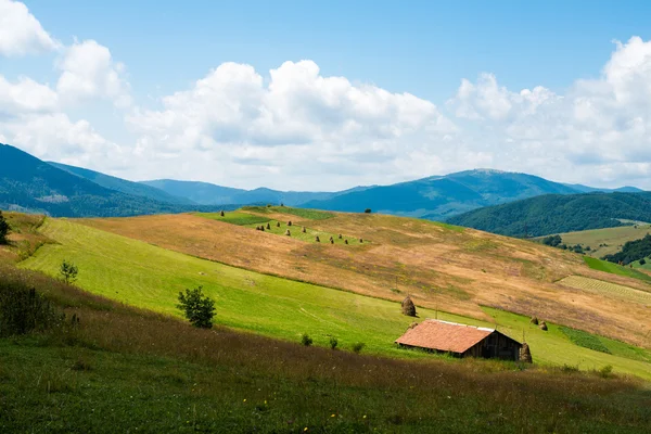 Landschap in de Oekraïense Karpaten — Stockfoto