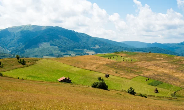 Landschap in de Oekraïense Karpaten — Stockfoto