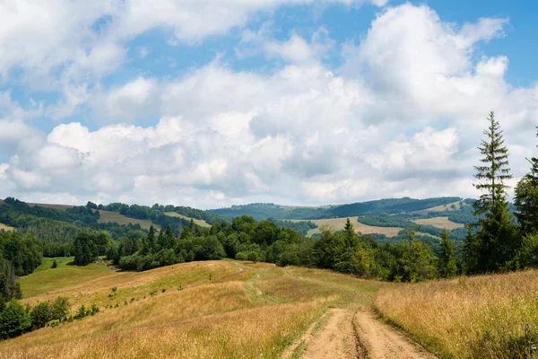 Polnej drodze przeciwko krajobraz Karpat ukraińskich — Zdjęcie stockowe