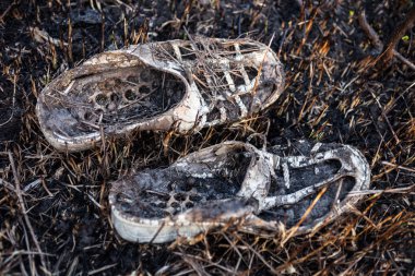 Old burnt shoes on the burnt grass clipart