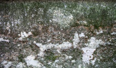 Yosun ve zengin dokulu Beton yüzey