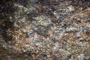 Zengin ve çeşitli dokuları olan granit yüzey