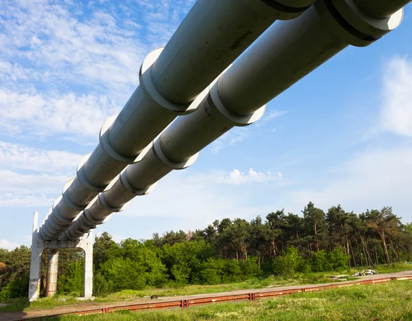 Elevated section of the pipelines — Stock Photo, Image