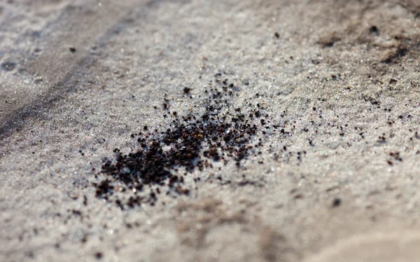 Sand surface after the rain — Stock Photo, Image