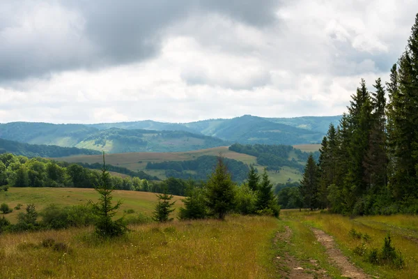 Camino de tierra contra el paisaje en los Cárpatos Ucranianos — Foto de Stock