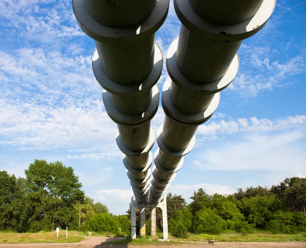 Elevated section of the pipelines — Stock Photo, Image