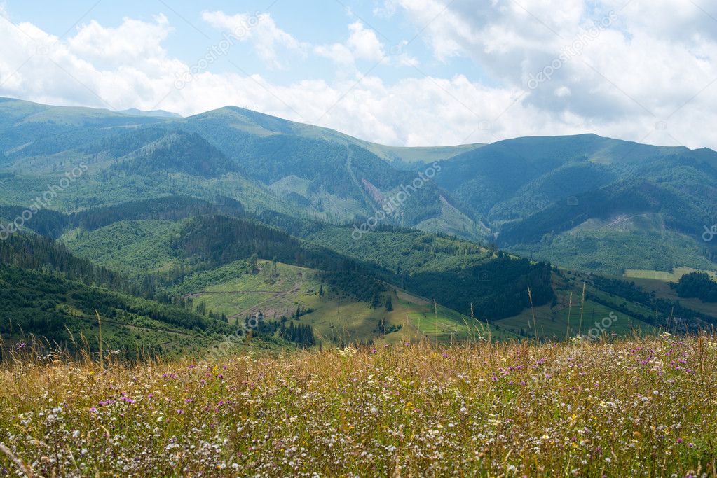 Summer landscape in the Ukrainian Carpathians