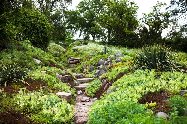 Taşlı yol ve yeşil bir bahçe içinde merdiven