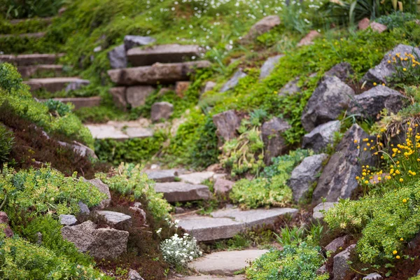 Escaleras pedregosas en el jardín verde — Foto de Stock