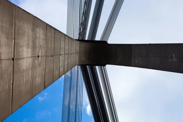 パイロンとキエフの斜張橋のケーブル — ストック写真