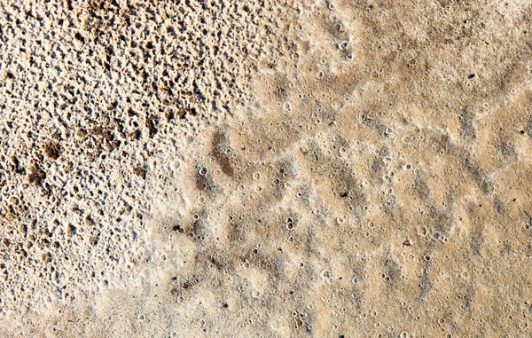 Песчаная поверхность после дождя — стоковое фото