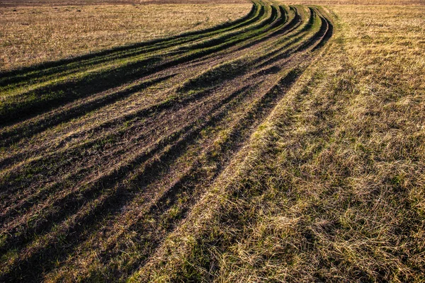 Kırsal yol otlarla kaplıydı.
