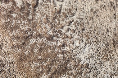 Yağmurdan sonra kum yüzeyi