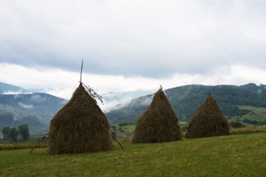 Üç haystacks Ukrayna Karpatlar