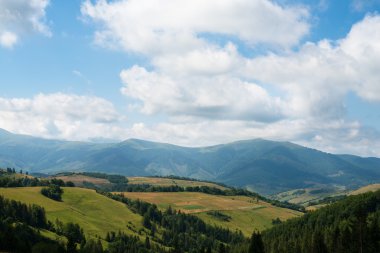 Ukrayna Karpatları 'nda manzara
