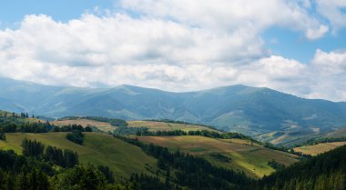 Ukrayna Karpatları 'nda manzara