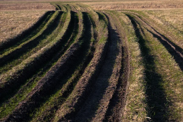 Landsvägen överväxt med gräs — Stockfoto