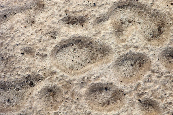 Surface de sable après la pluie — Photo