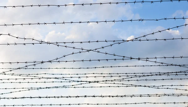 Barbed wire against the cloudy sky background — Stock Photo, Image