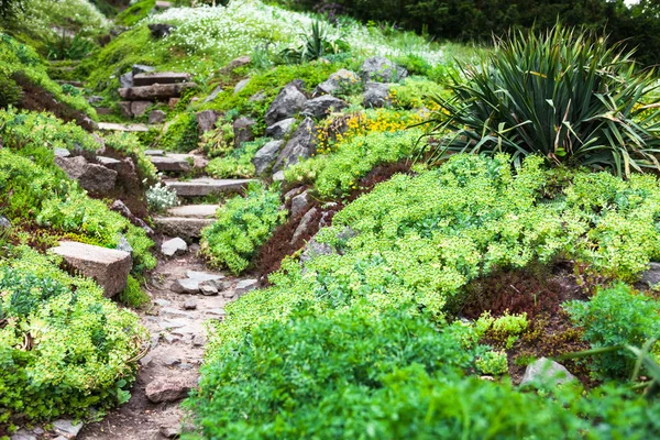 Chemin pierreux et escaliers dans le jardin verdoyant — Photo