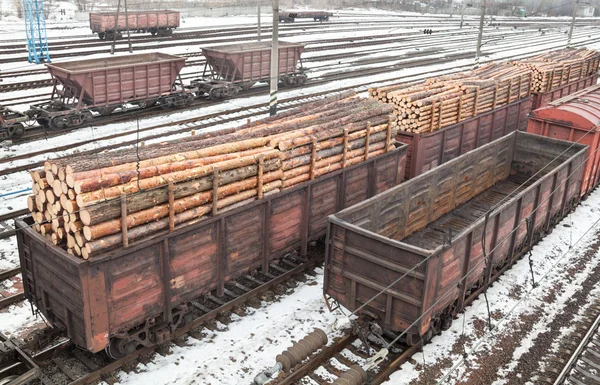 Freight wagons with logs and empty wagons