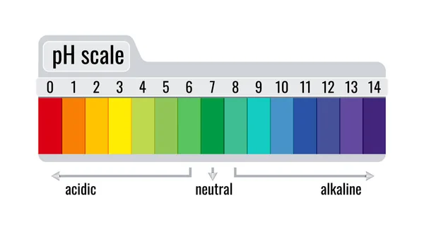 Medidor de escala de pH para soluciones ácidas y alcalinas aisladas sobre fondo blanco. — Vector de stock