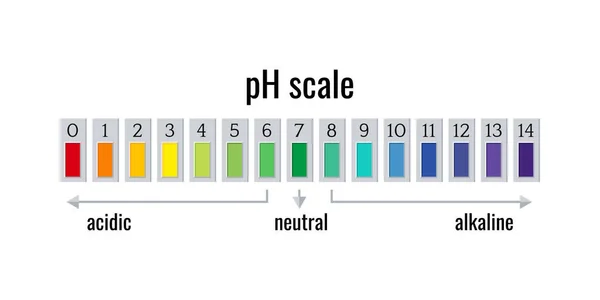 Misuratore della scala pH per soluzioni acide e alcaline isolate su fondo bianco. — Vettoriale Stock