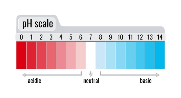 Medidor de escala de pH para soluciones ácidas y de base aisladas sobre fondo blanco. — Vector de stock