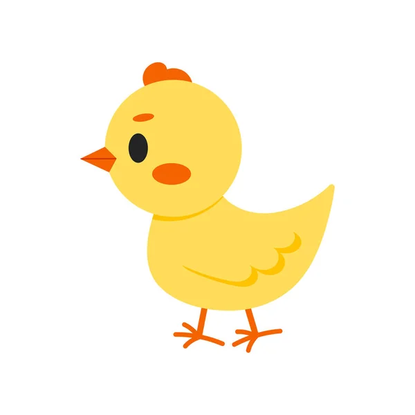Χαριτωμένο εικονίδιο διάνυσμα κοτόπουλο απομονώνονται σε λευκό φόντο. — Διανυσματικό Αρχείο