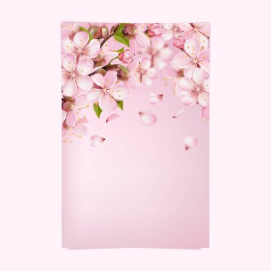 Gerçekçi pembe sakura çiçekleri yumuşak bokeh arka planı ve düşen taç yapraklarıyla. Kartlar, afişler, davetiyeler, posterler ve mevsimlik dekoratif tasarımlar için mükemmel bahar çiçekleri kompozisyonu.