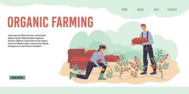 Düz çizgi film karakterleri hasat, vektör illüstrasyon kavramı