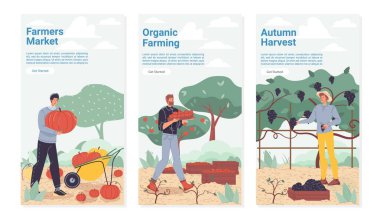 Düz çizgi film karakterleri hasat, iniş sayfası seti, vektör tasarım konsepti
