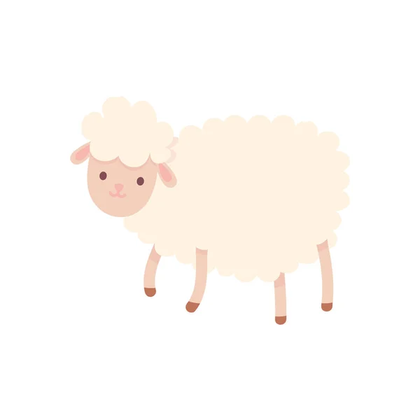 Dibujos animados granja ovejas animales domésticos — Archivo Imágenes Vectoriales