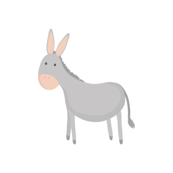 Dibujos animados granja burro animal doméstico — Archivo Imágenes Vectoriales