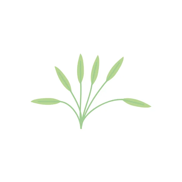 Feuillage feuilles nature botanique décoration — Image vectorielle