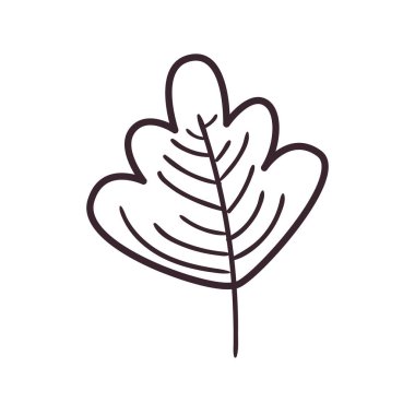 sonbahar yaprak çizgisi biçim vektör tasarımı