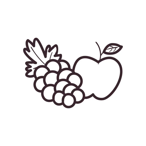 Pomme et raisin fruit ligne style icône vectoriel design — Image vectorielle
